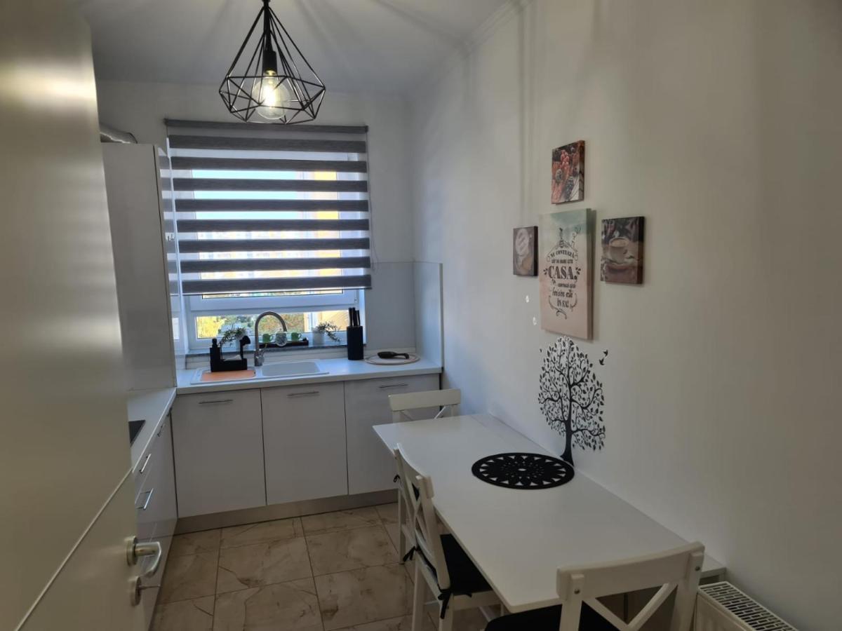 Appartamento Oscar House Braşov Esterno foto